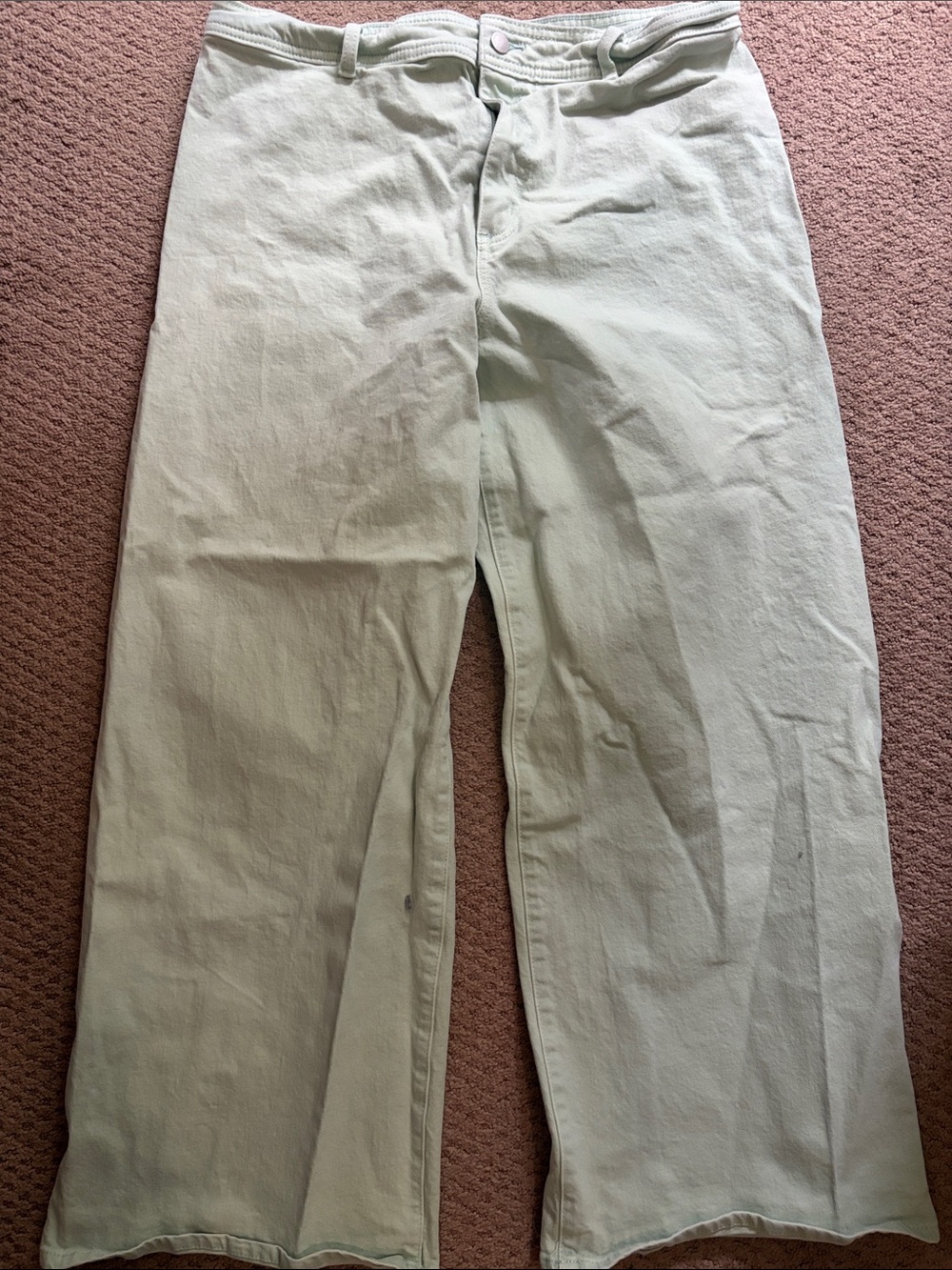 Universal Thread Women's Light Mint Green Straight-Leg Chinos
